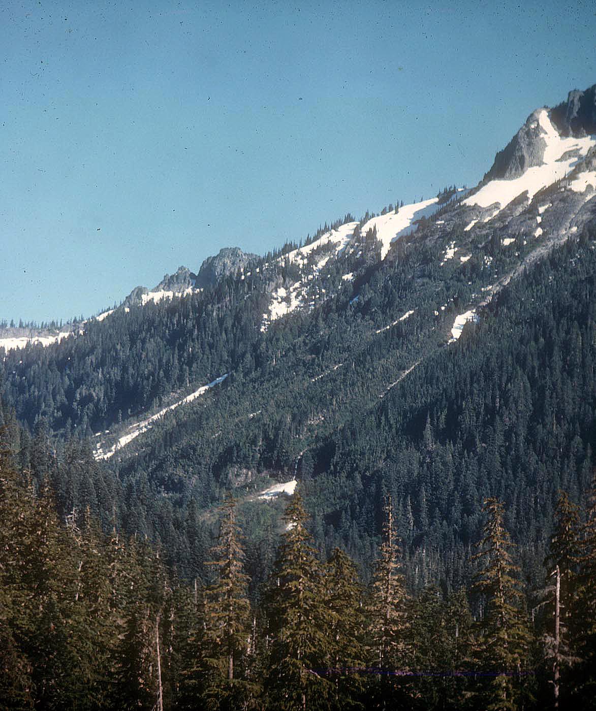 Butter Creek Avalanche tracks JF